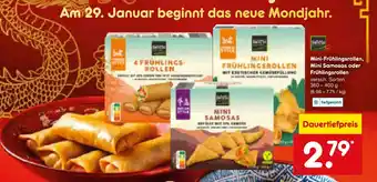 Netto Marken-Discount Asia green garden mini-frühlingsrollen oder mini samosas oder frühlingsrollen Angebot