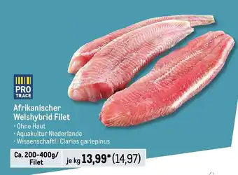 METRO Afrikanischer Welshybrid Filet Angebot