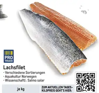 METRO Lachsfilet Angebot