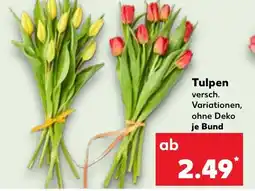 Kaufland Tulpen Angebot