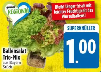 Edeka Ballensalat Trio-Mix Angebot