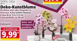 Norma bella casa Deko-Kunstblume Angebot