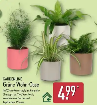 Aldi Nord GARDENLINE Grüne Wohn-Oase Angebot