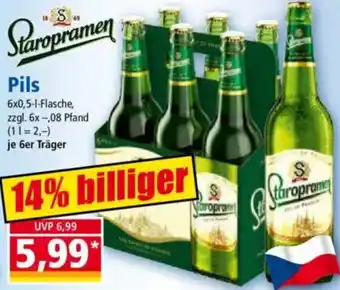 Norma Staropramen Pils Angebot