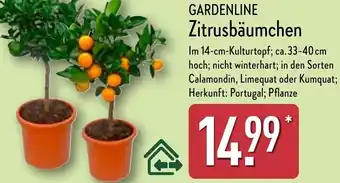 Aldi Nord GARDENLINE Zitrusbäumchen Angebot