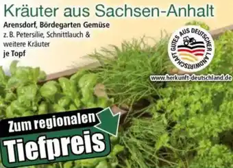 Norma Kräuter aus Sachsen-Anhalt Angebot