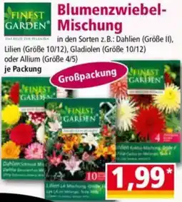 Norma FINEST GARDEN Blumenzwiebel Mischung Angebot