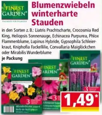 Norma FINEST GARDEN Blumenzwiebeln Winterharte Stauden Angebot