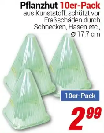CENTERSHOP Pflanzhut Angebot