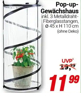 CENTERSHOP Pop-up Gewächshaus Angebot