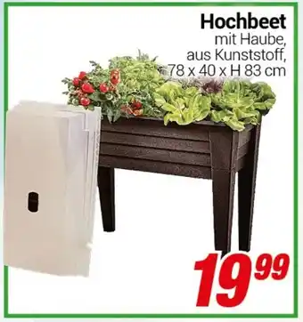 CENTERSHOP Hochbeet Angebot