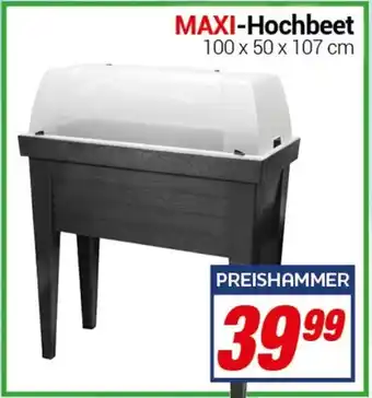 CENTERSHOP MAXI-Hochbeet Angebot