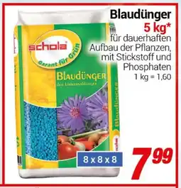 CENTERSHOP Schola Blaudünger Angebot