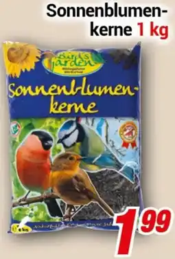 CENTERSHOP Bird's Garden Sonnenblumenkerne Angebot