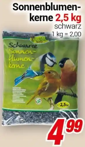 CENTERSHOP Bird's Garden Sonnenblumenkerne Angebot