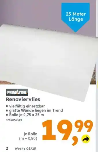 Globus Baumarkt PRIMASTER Renoviervlies Angebot