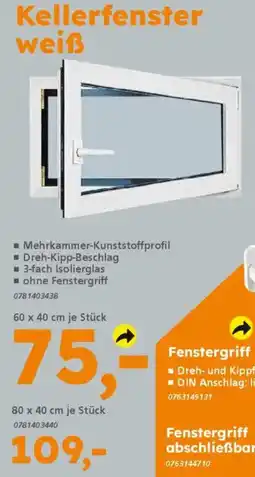 Globus Baumarkt Kellerfenster weiß Angebot