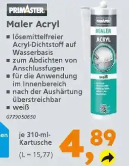 Globus Baumarkt PRIMASTER Maler Acryl Angebot