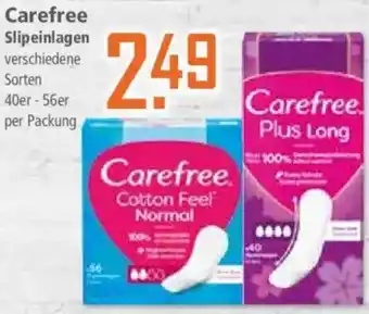 Klaas und Kock Carefree Slipeinlagen Angebot