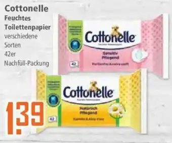 Klaas und Kock Cottonelle Feuchtes Toilettenpapier Angebot