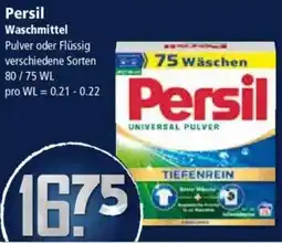 Klaas und Kock Persil Waschmittel Angebot