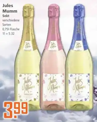 Klaas und Kock Jules Mumm Sekt Angebot