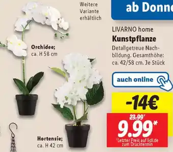 Lidl LIVARNO home Kunstpflanze Angebot