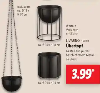 Lidl LIVARNO home Übertopf Angebot