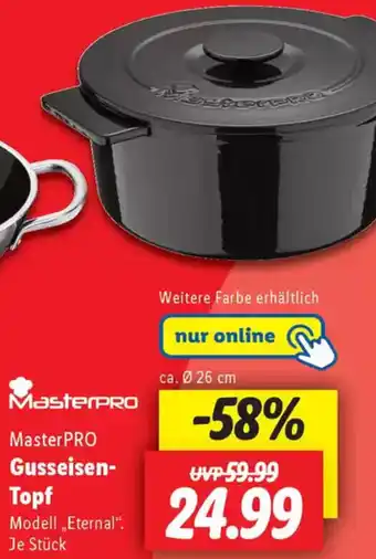 Lidl Master PRO Gusseisen Topf Angebot