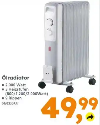 Globus Baumarkt Ölradiator Angebot