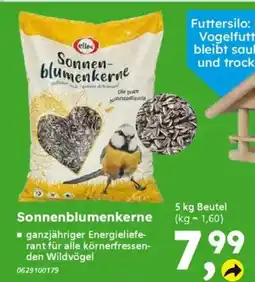 Globus Baumarkt elles Sonnenblumenkerne Angebot