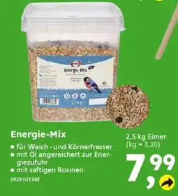 Globus Baumarkt Energie-Mix Angebot