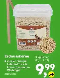 Globus Baumarkt Erdnusskerne Angebot