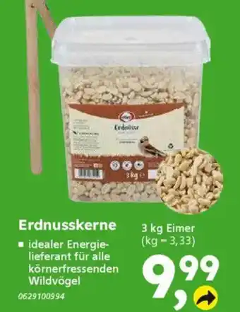 Globus Baumarkt Erdnusskerne Angebot