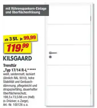 toom Baumarkt KILSGAARD Trendtür „Typ 17/14 R-L" Angebot