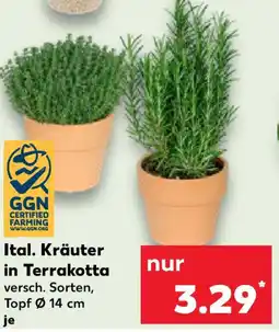 Kaufland Ital. Kräuter in Terrakotta Angebot