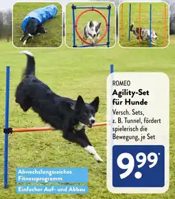 Aldi Süd ROMEO Agility-Set für Hunde Angebot