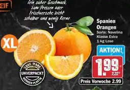 Hit Spanien Orangen Angebot