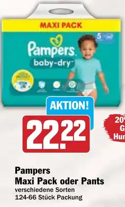 Hit Pampers Maxi Pack oder Pants Angebot