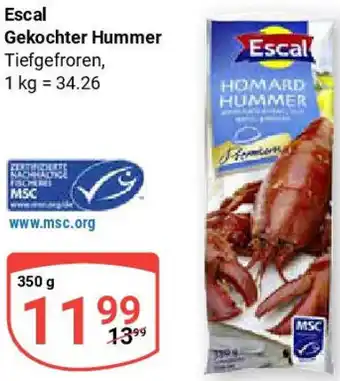 Globus Escal Gekochter Hummer Angebot