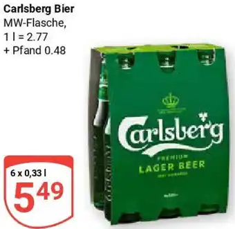 Globus Carlsberg Bier Angebot