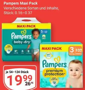 Globus Pampers Maxi Pack Angebot