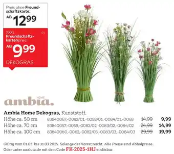 XXXLutz Ambia Home Dekogras Angebot