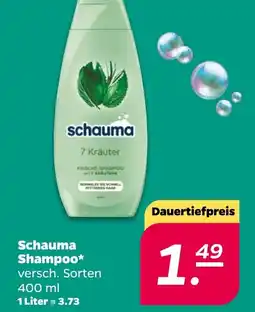 NETTO Schauma Shampoo Angebot