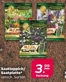 NETTO Saatbänder/ Faltschachteln Angebot