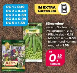 NETTO Sämereien Angebot