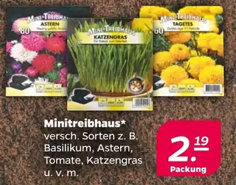 NETTO Minitreibhaus Angebot