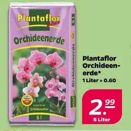 NETTO Plantaflor Orchideen- erde Angebot