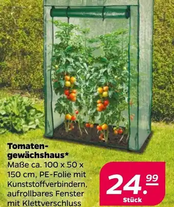 NETTO Tomaten- gewächshaus Angebot