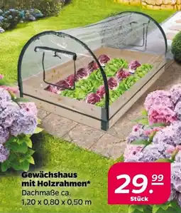 NETTO Gewächshaus mit Holzrahmen Angebot